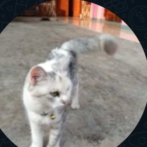 Agent avatar