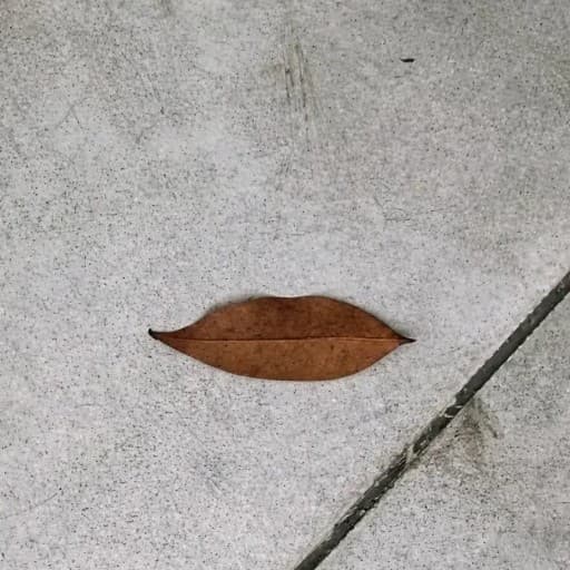 Agent avatar