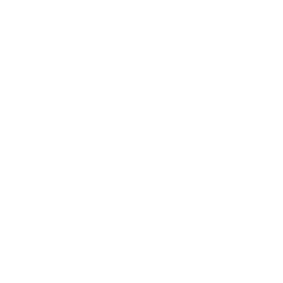 Agent avatar
